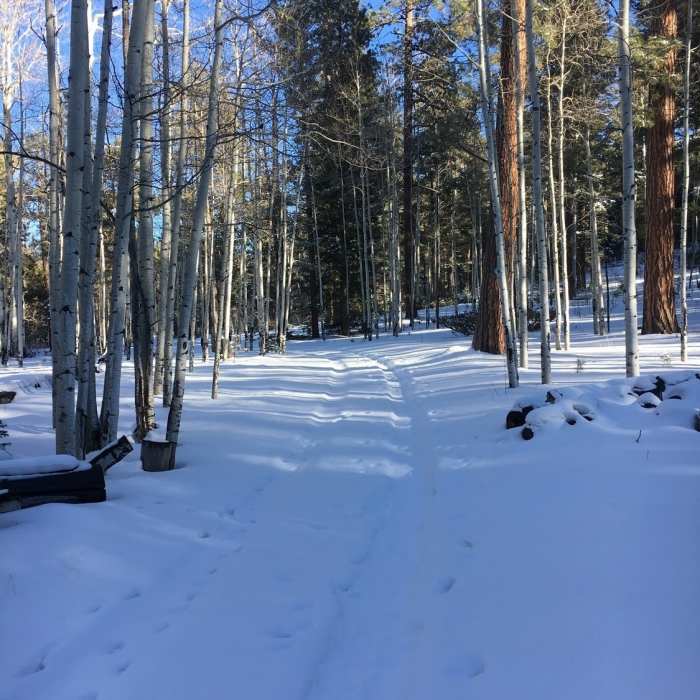 Winter at Poll Knoll Near Poll Knoll Trail System