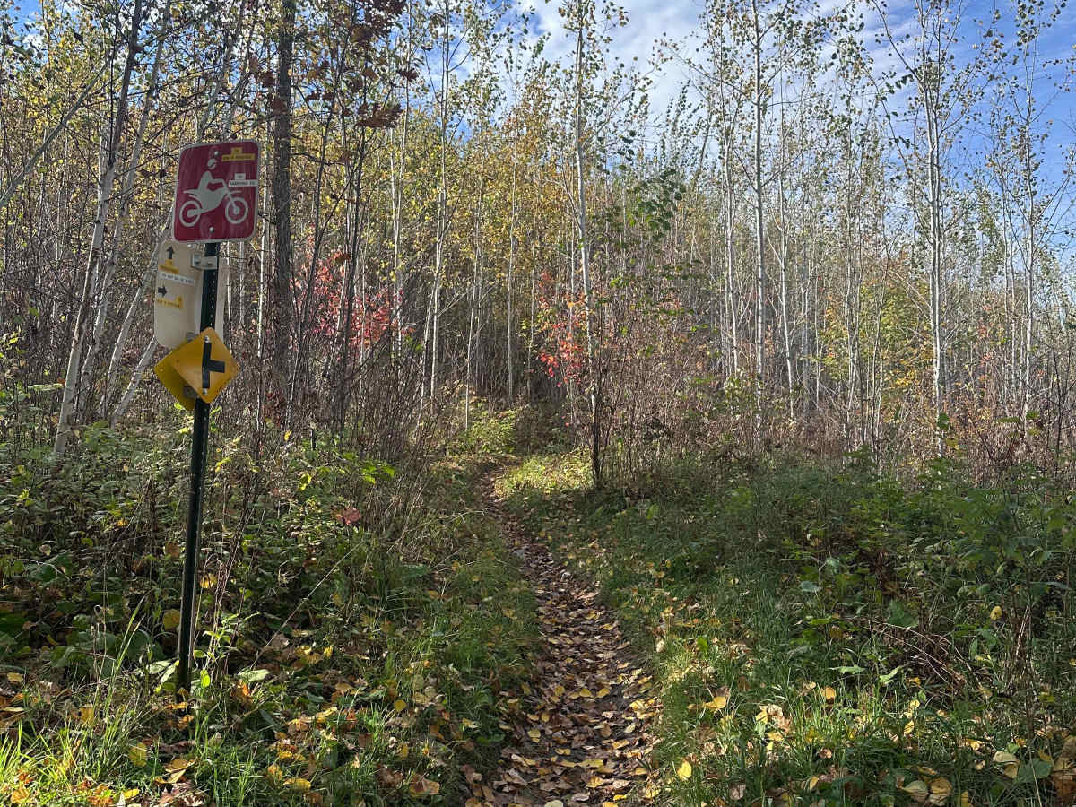 Ron's Revenge trail photo