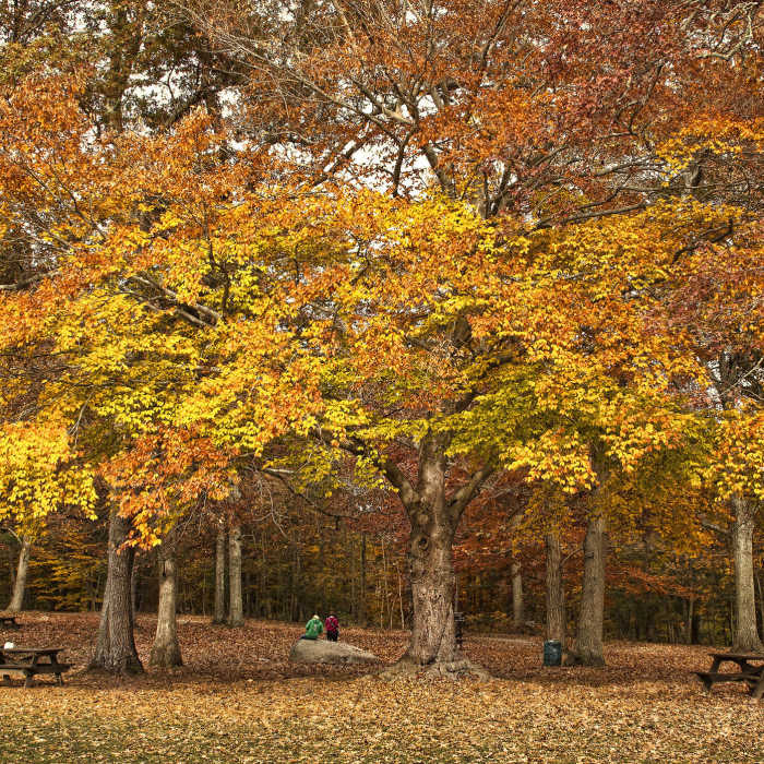 Taken last year at Borderland State Park. Near Borderland State Park Loop