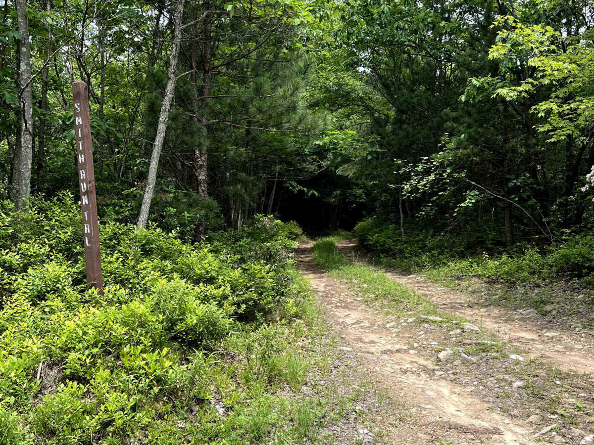 Smith's Run Trail photo 2