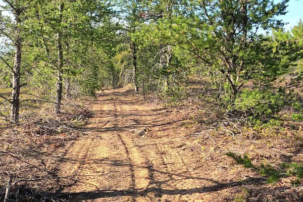 North Duck Marsh Road Loop