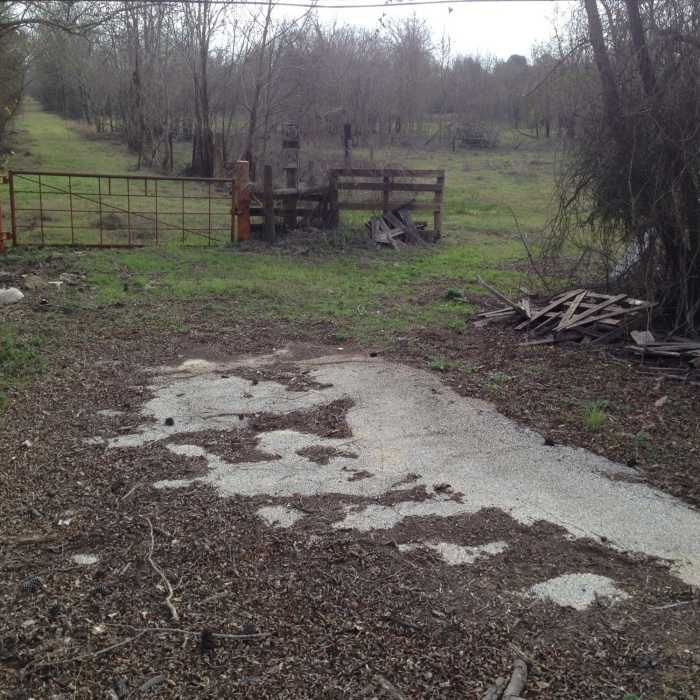 Near Addicks-Fairbanks Trail