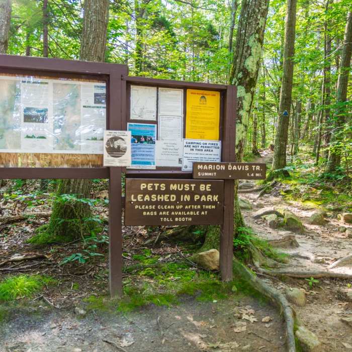 Near Pack Monadnock Loop Near Pack Monadnock Loop