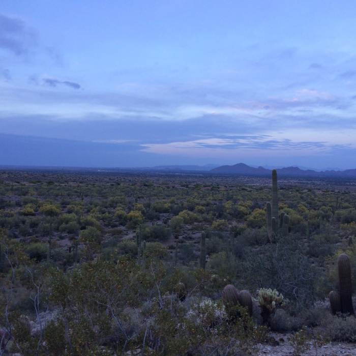 Near Gateway Loop Trail