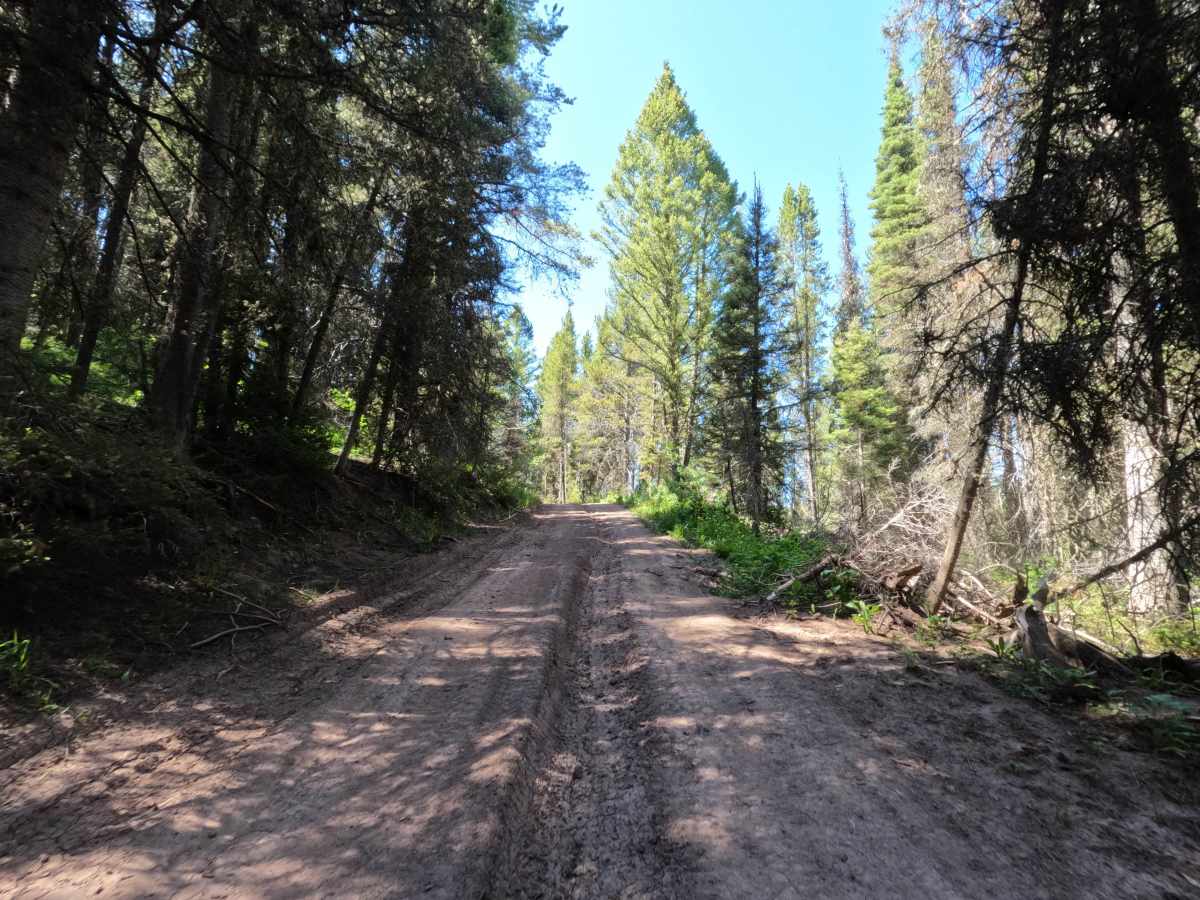 Robinson Mine photo 4
