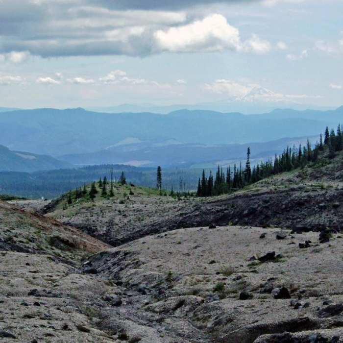 Near Chetco River Hike via Babyfoot Lake Trailhead