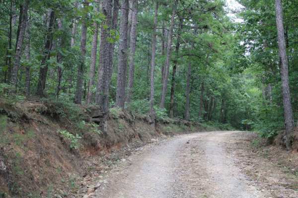 Exit to Tabor Mountain Road