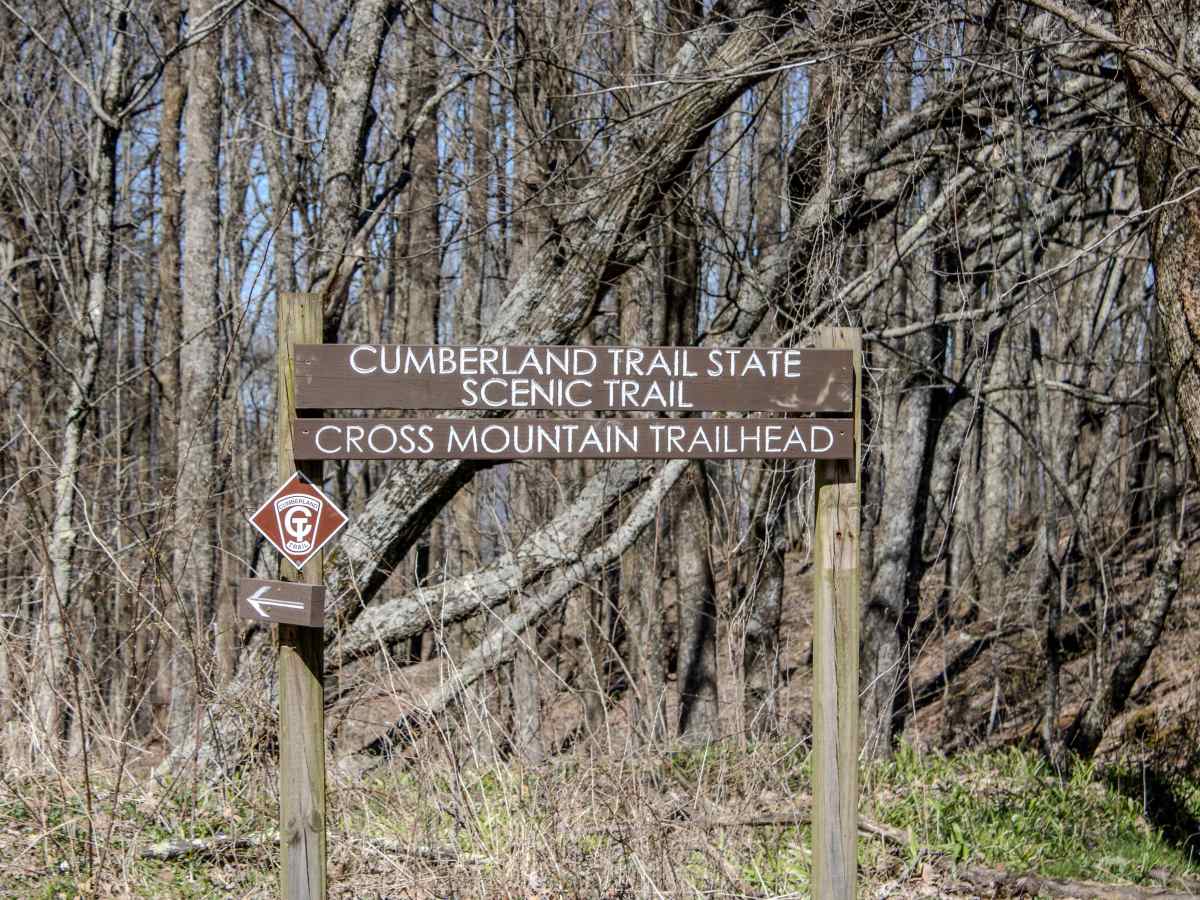 Pine Bald Trail photo 4