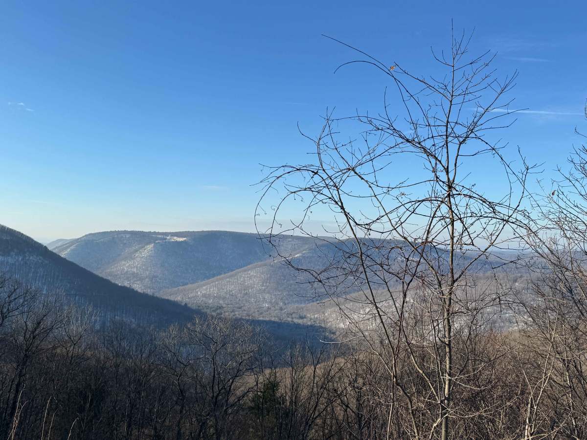 Bodine Mountain Road photo 5