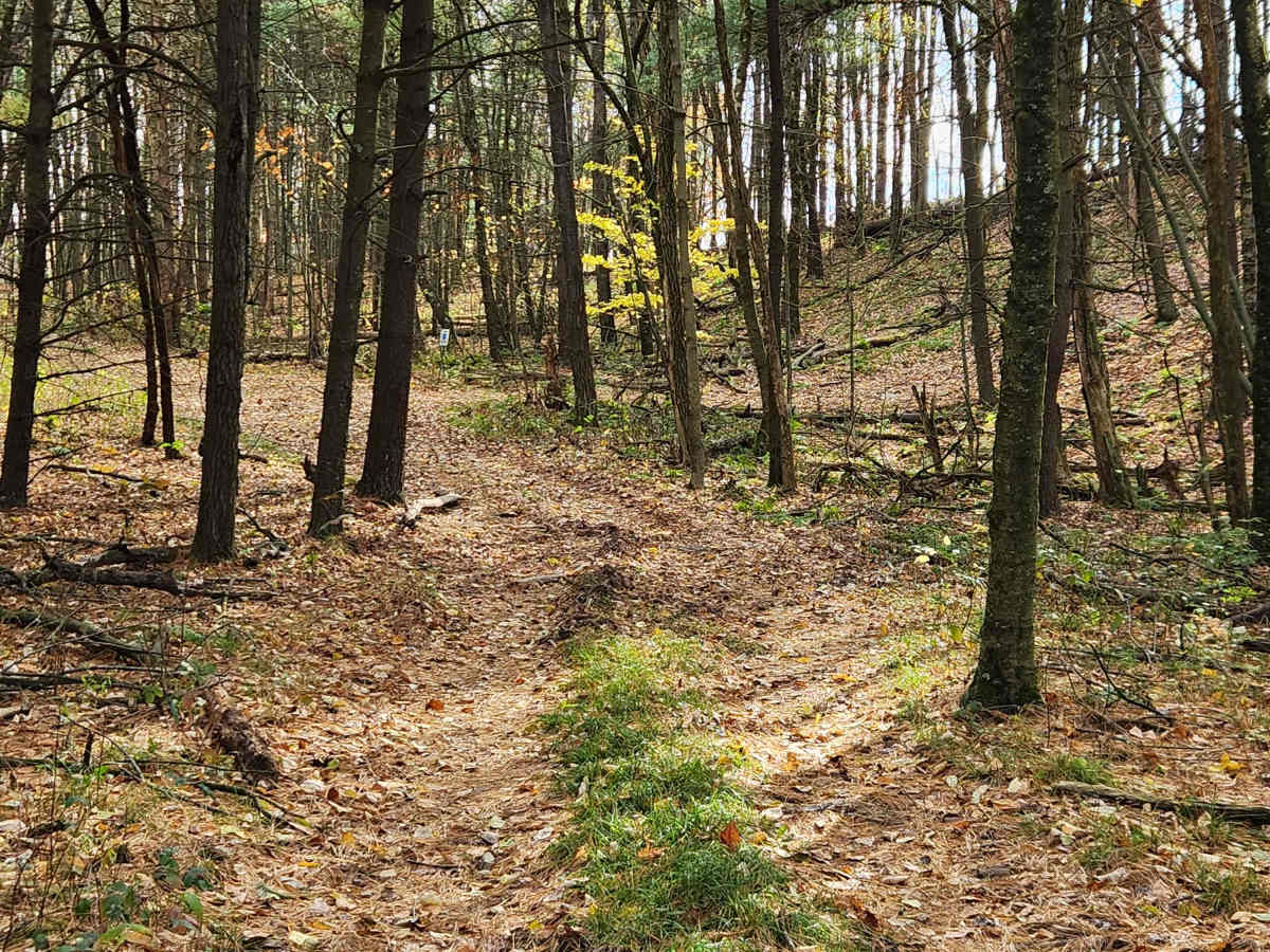 OHV 7 - Rock Run Recreation Area photo 3