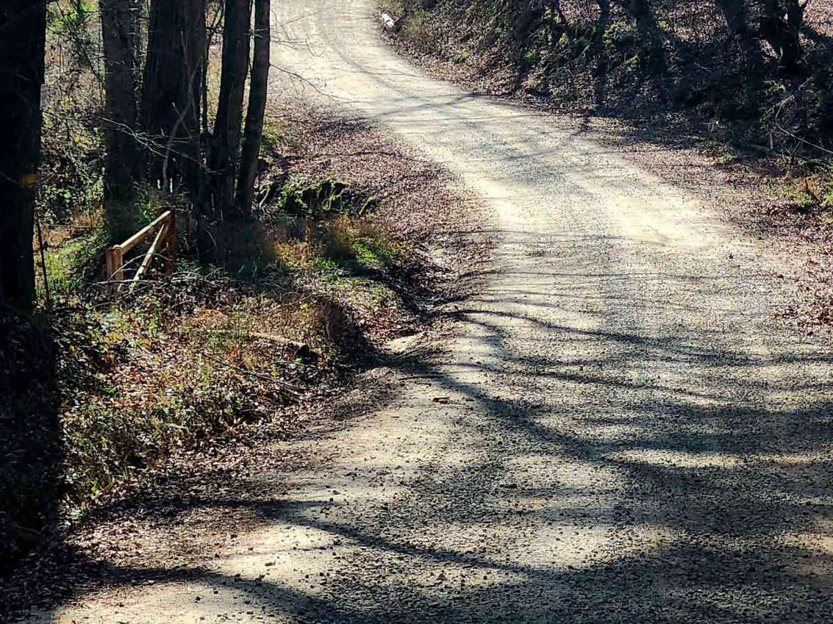 Murder Creek trail photo