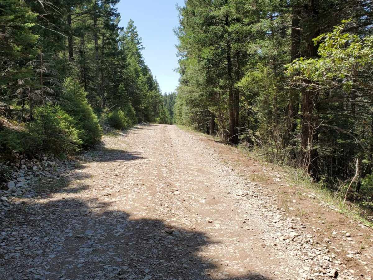 FR623 trail photo