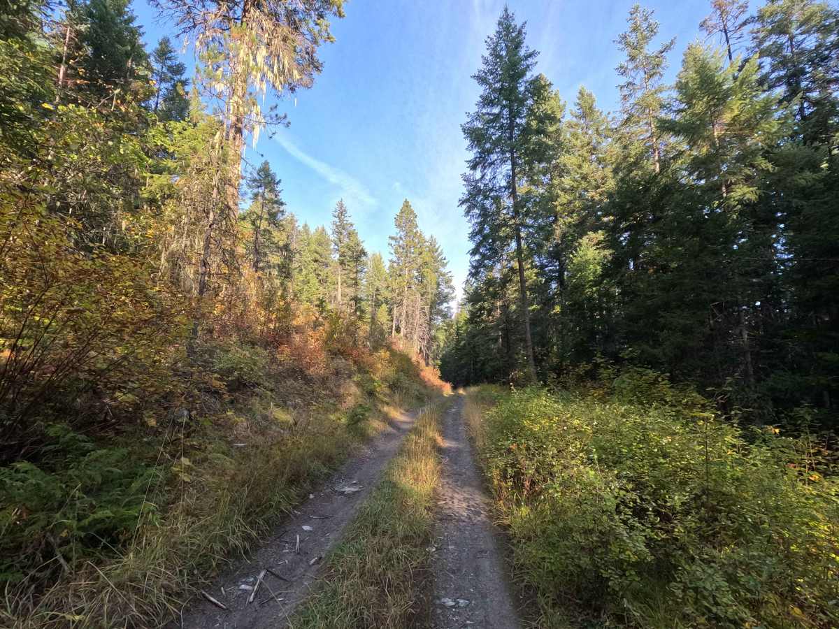 Kidney Pond Road photo 4