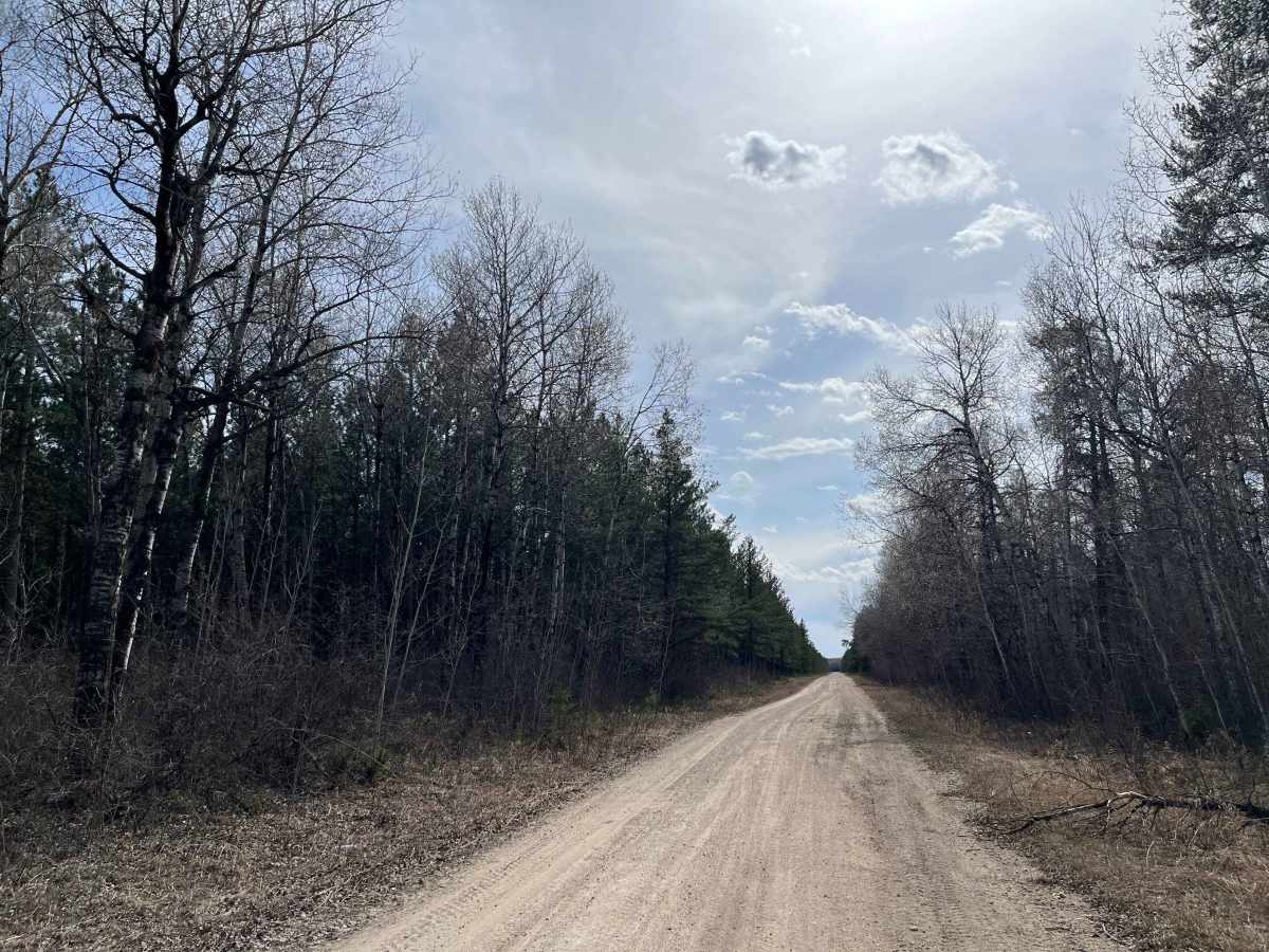 Sandilands Forestry Road 18 photo 2