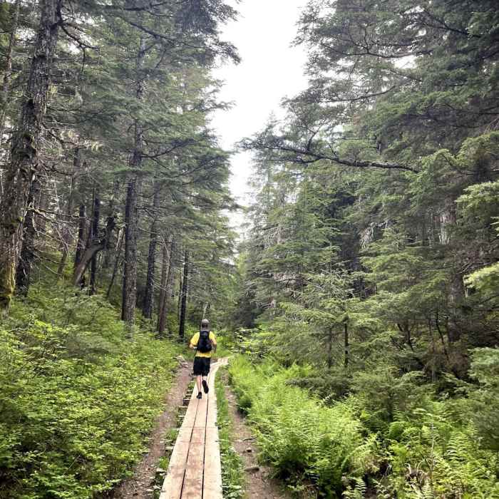 Near Winner Creek to Hand Tram