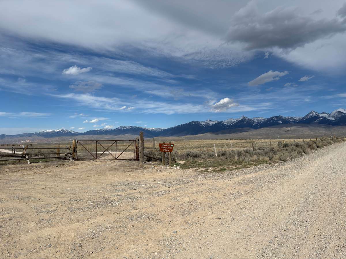 Sagehen Flat - BLM 121 photo 4