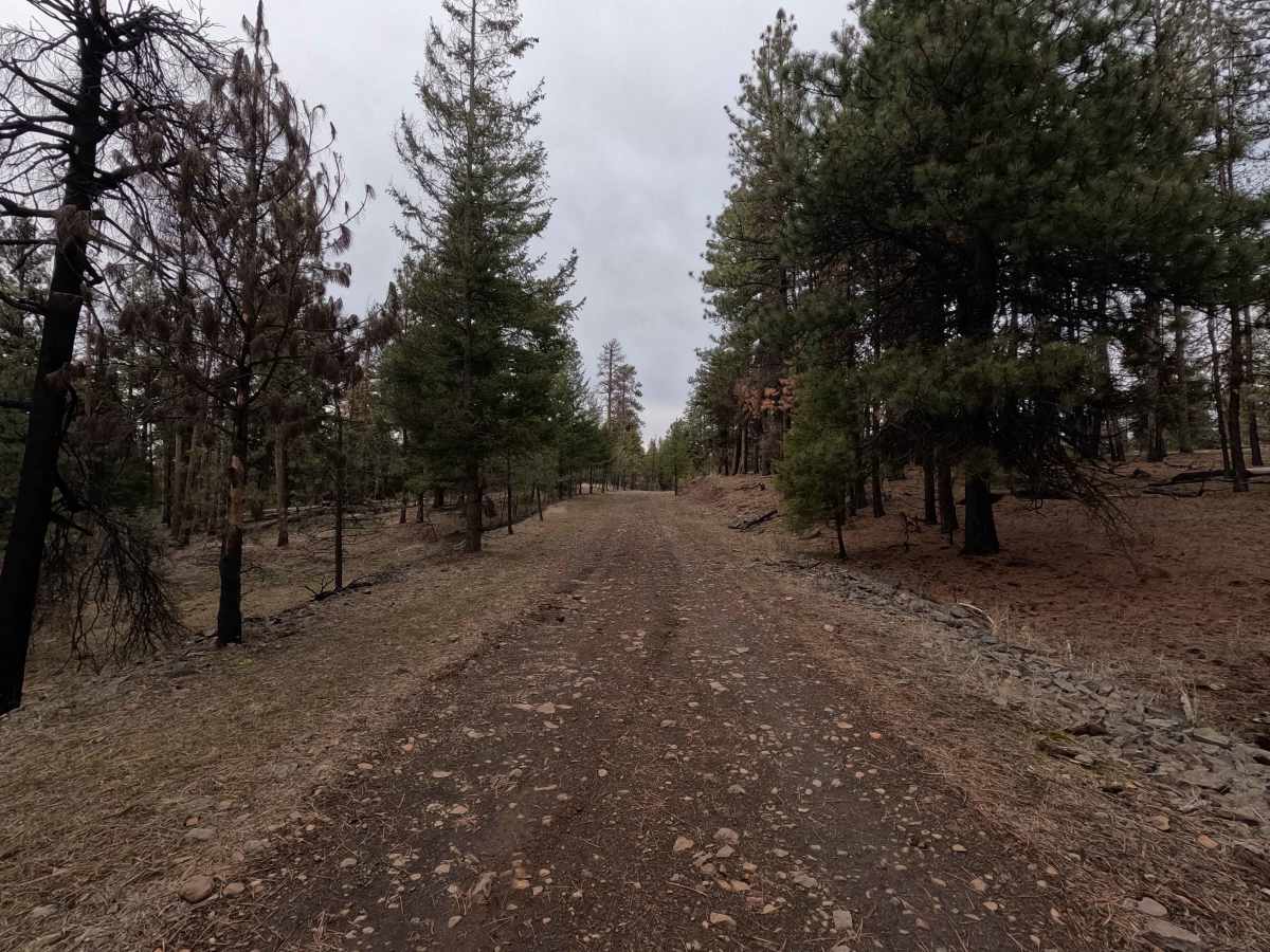 FS 2110 photo 2