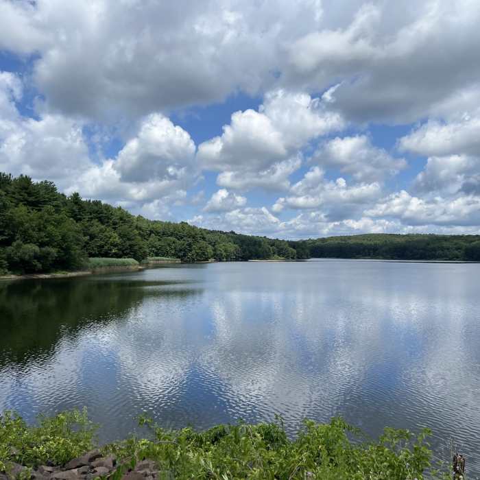 Near Lake Chamberlain Trail