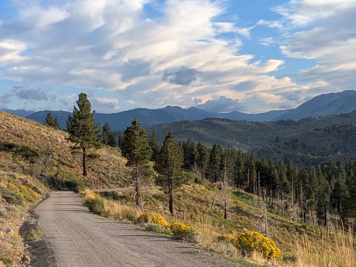 Leviathan Mine Road trail photo