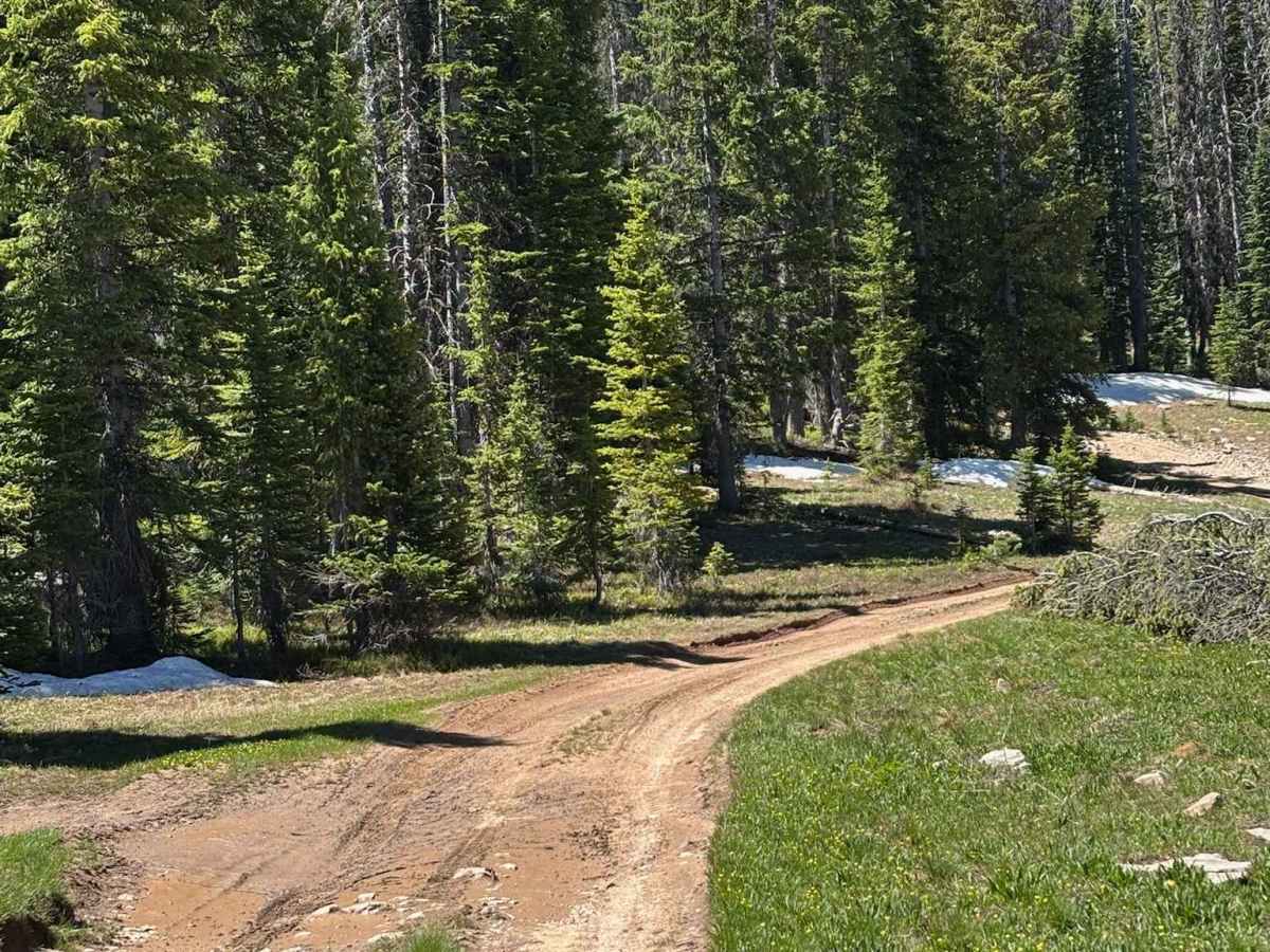 Burnt Ridge Road photo 5
