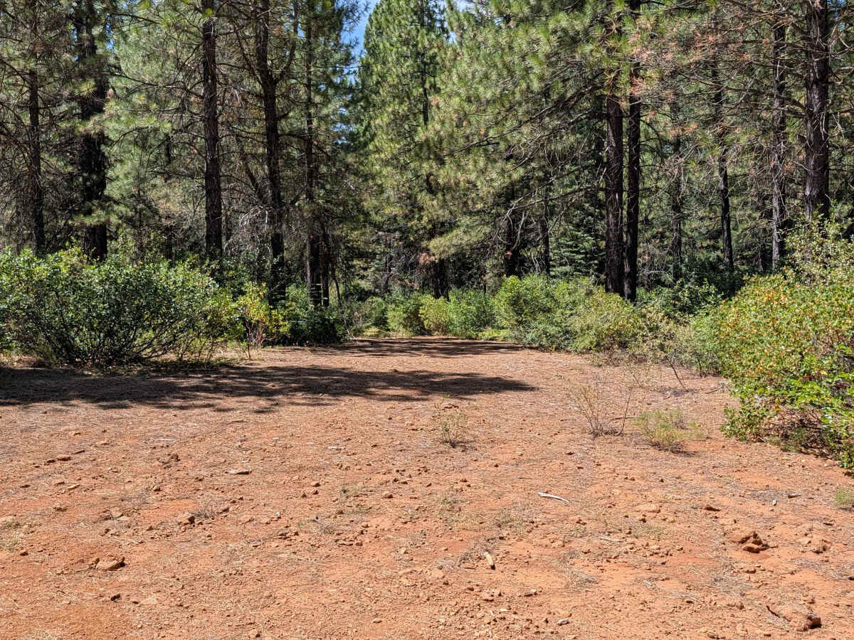 Cow Spur - FS 39N91 photo 6