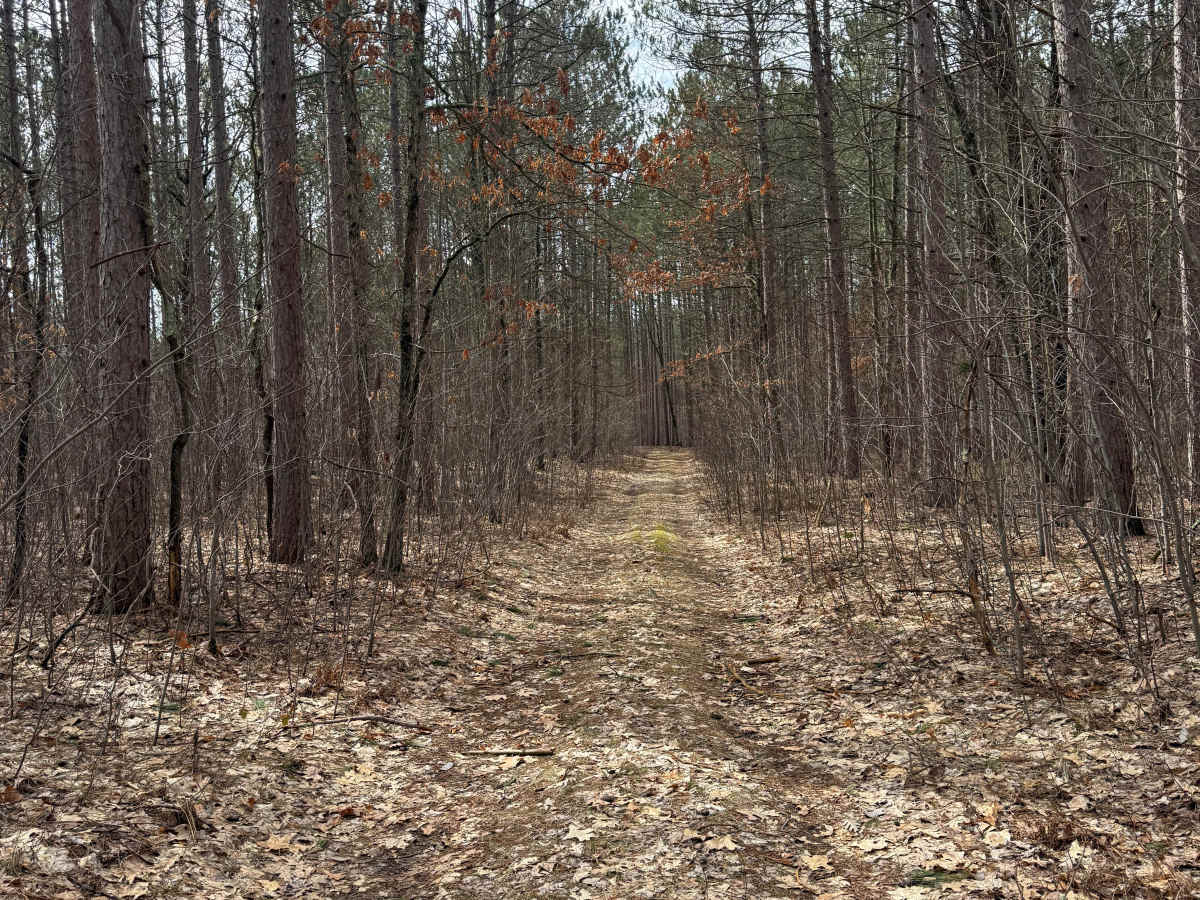 FS 8270 trail photo