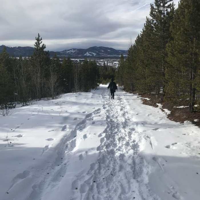 Near Winterwoods