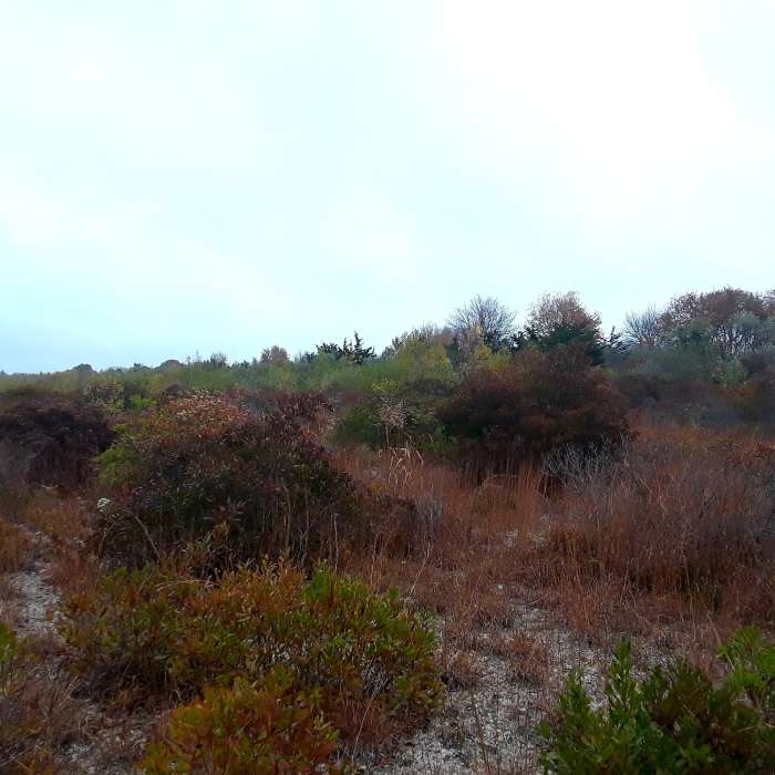 Near Ninigret National Wildlife Refuge