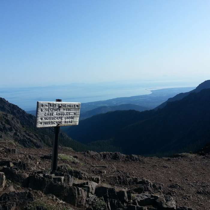 Near Mount Angeles Via Switchback Trail