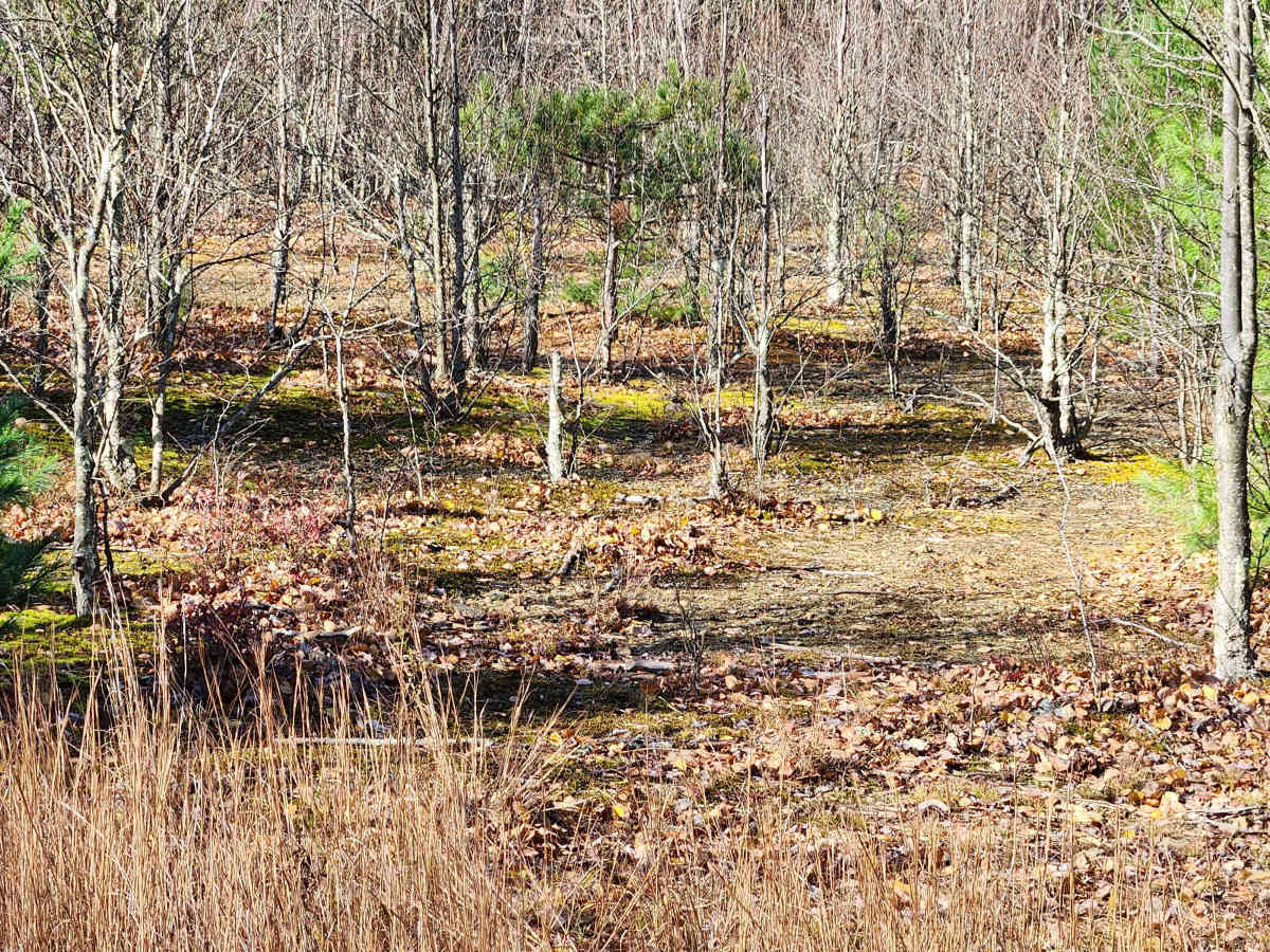 OHV 3 - Rock Run Recreation Area photo 3
