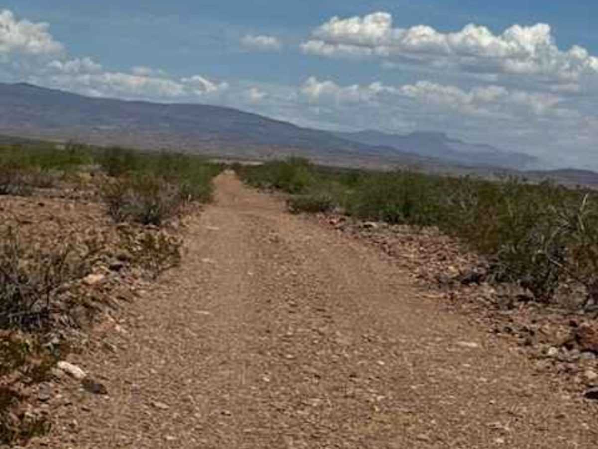BLM PE1122 photo 3