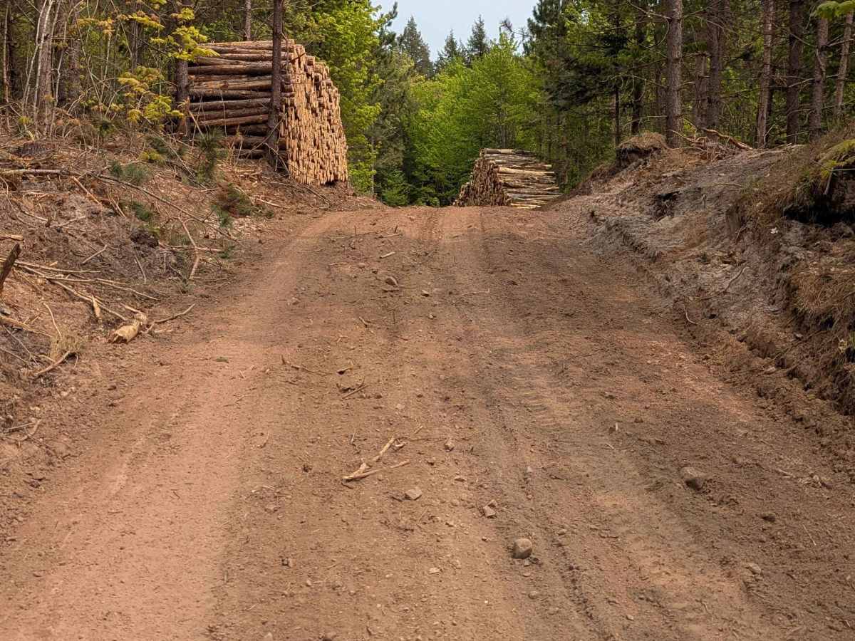 Bald Mountain Trail photo 6