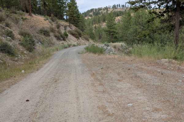 North Cook Mountain Road - South half