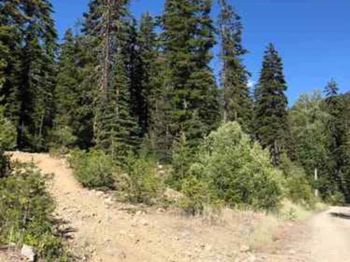 Upper Fortune Creek photo 2