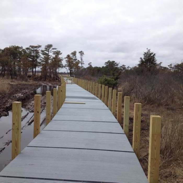 Near Gordons Pond Trail