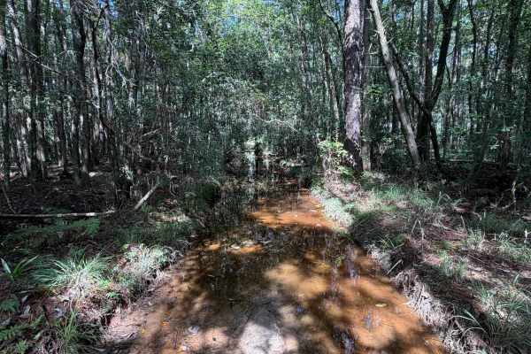 Blackwater River R76