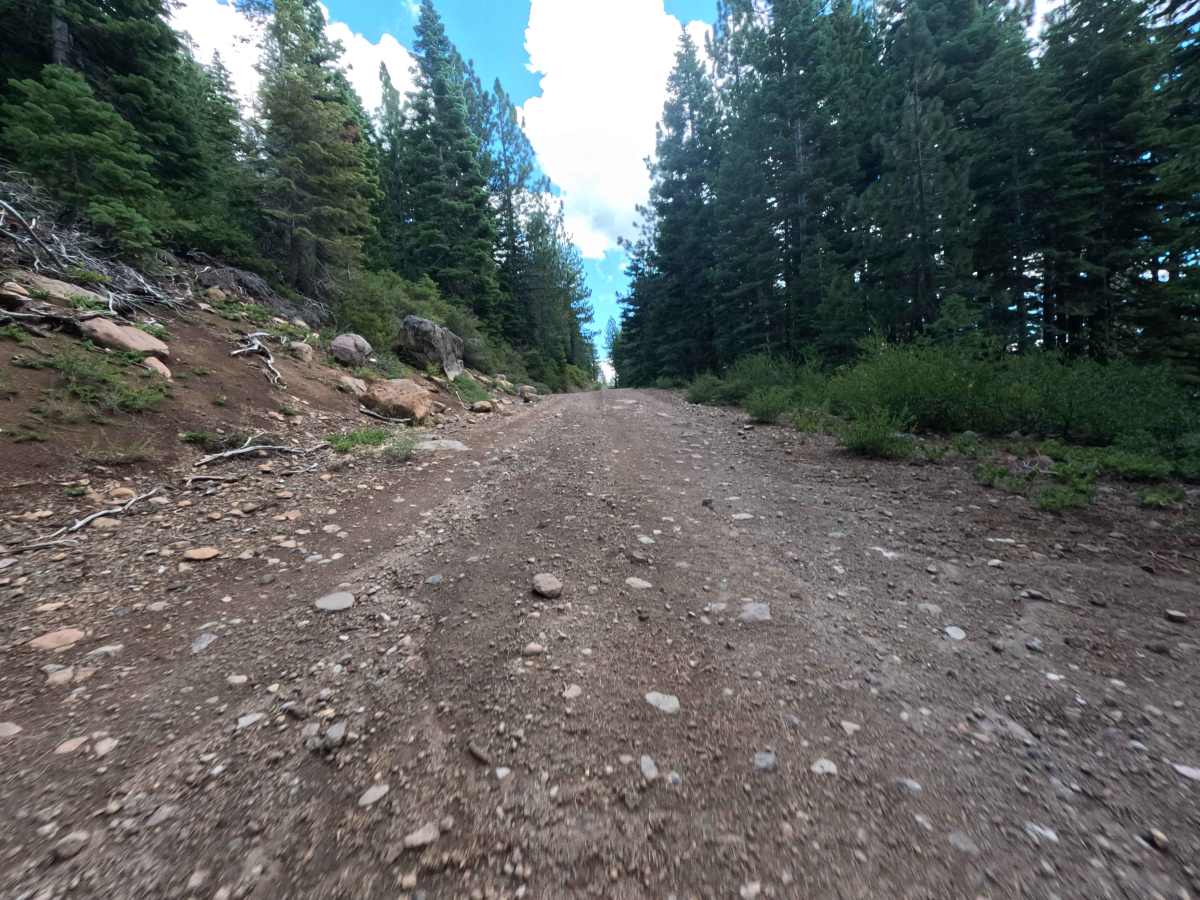 Pole Creek Spur - FS 5708-004 photo 5