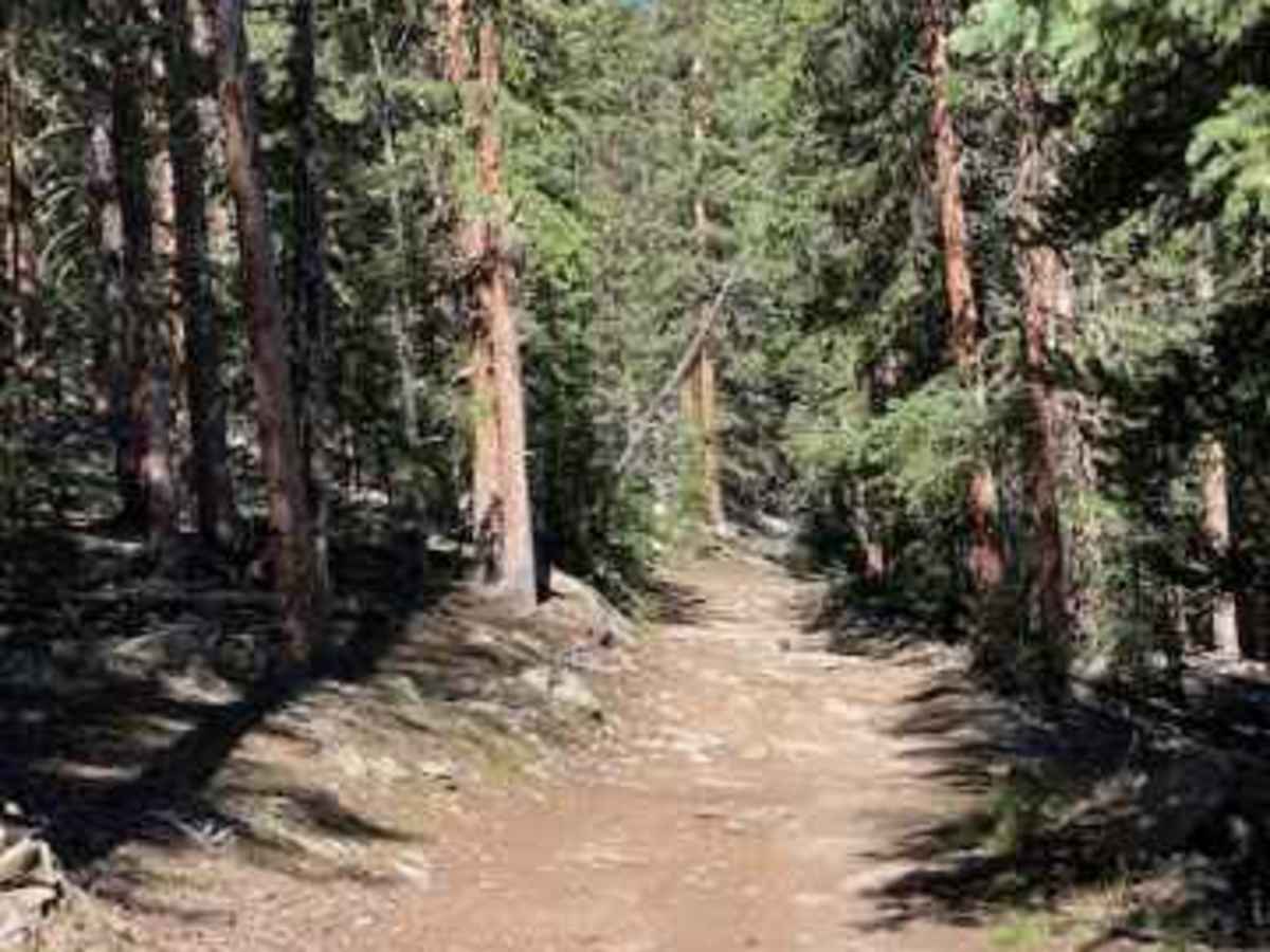 Packer Gulch photo 2