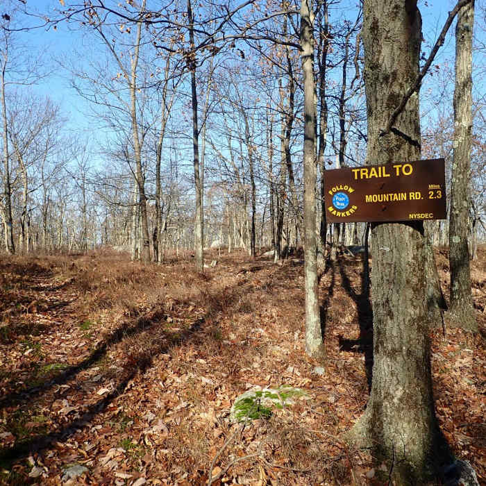 Near Shawangunk Ridge Trail: Huckleberry Ridge Section Near Shawangunk Ridge Trail: Huckleberry Ridge Section