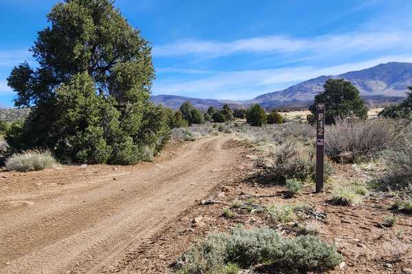 Lone Pine Canyon Road - BLM P-12