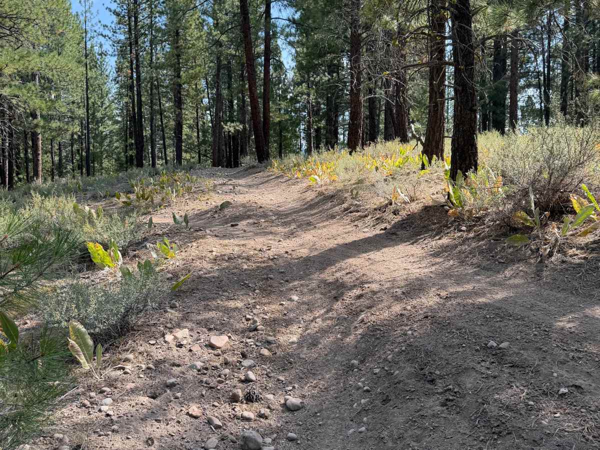 Dry Creek Trail photo 3