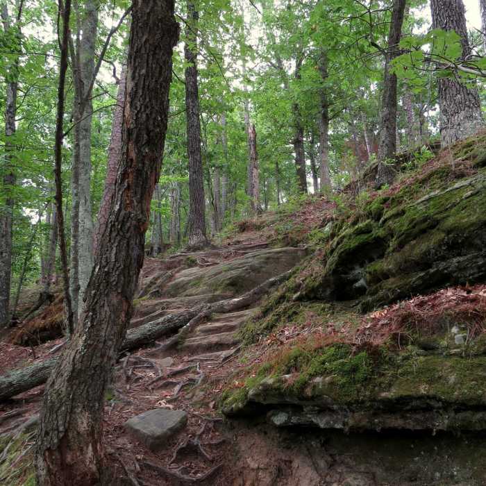 View along the trail. Near Whispering Pine - North and South
