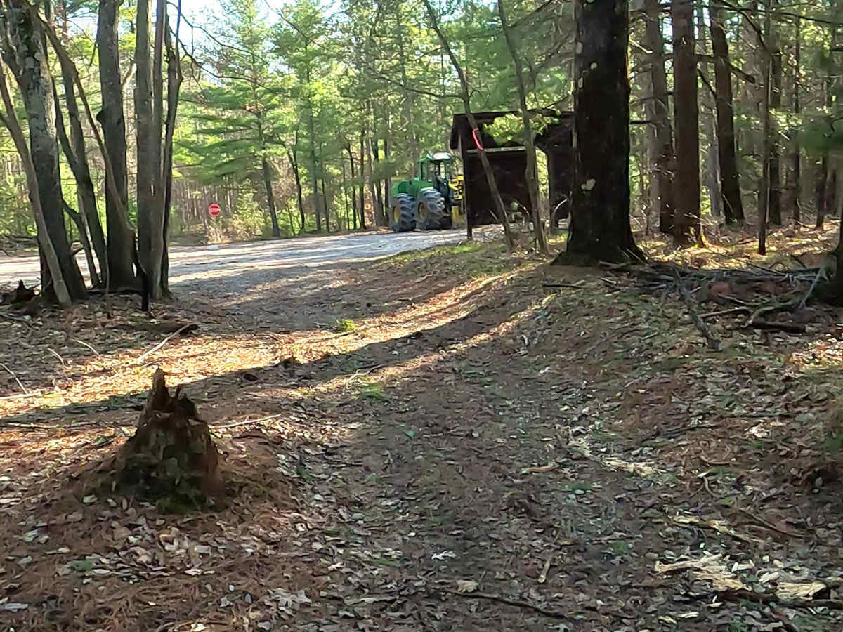 Mack Lake Loop Trail - ORV H-57 photo 2