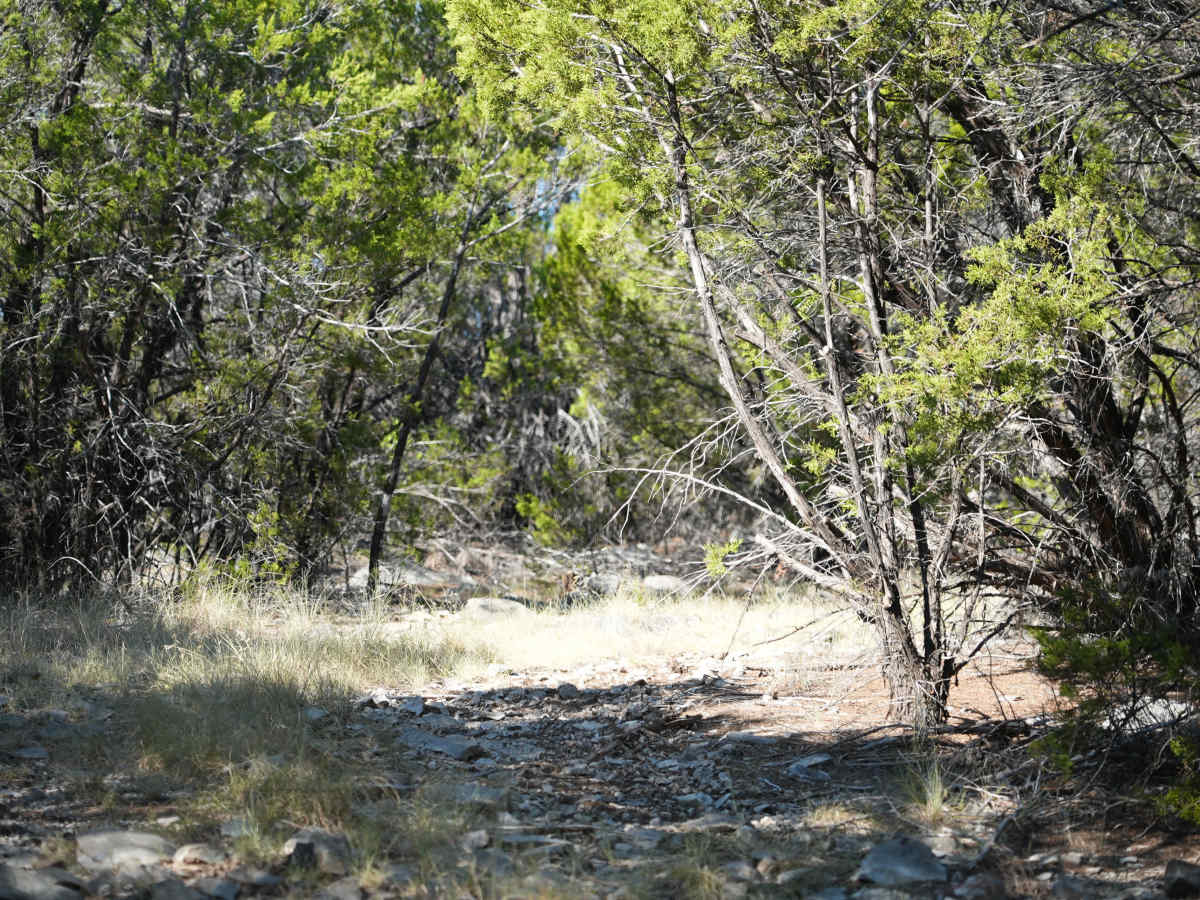 Blue 13 photo 2
