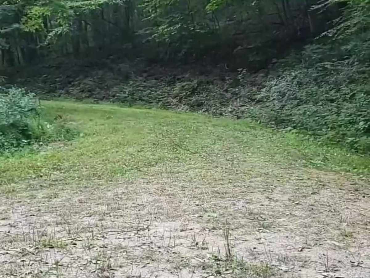 Middle Creek photo 2
