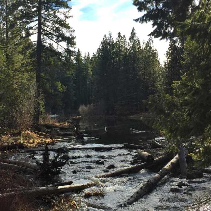 Near Suttle Lake Loop
