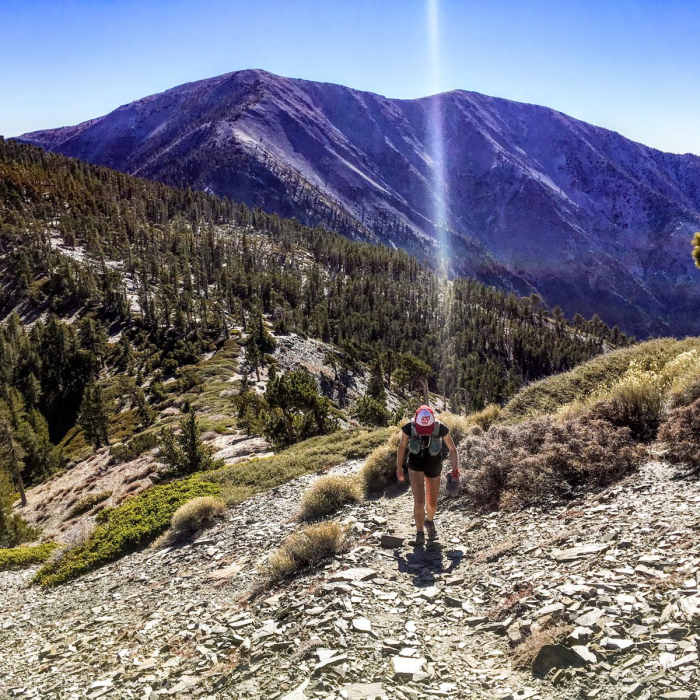 Near Inspiration Point to Pine Mountain