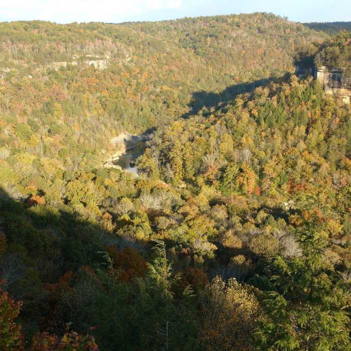 Near Blue Heron Loop Trail