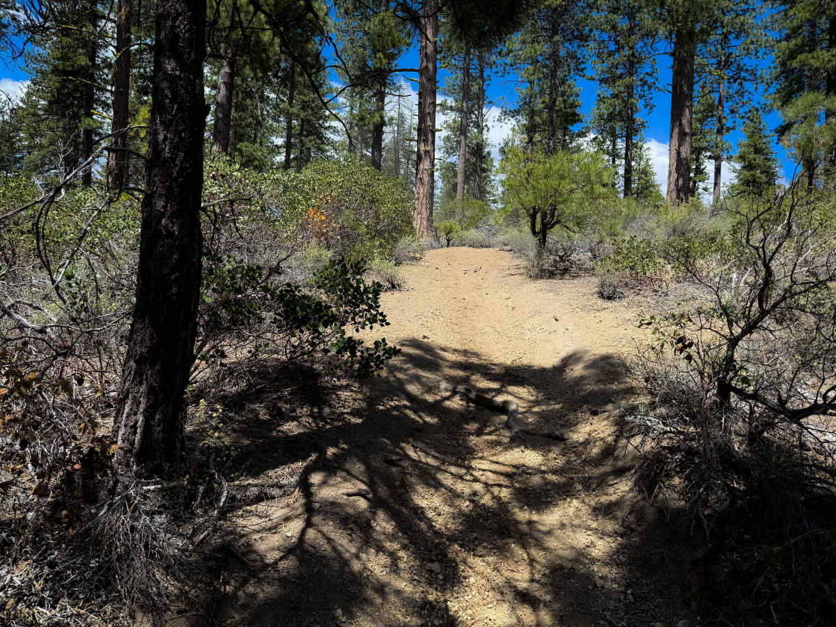 Trail 21  photo 5