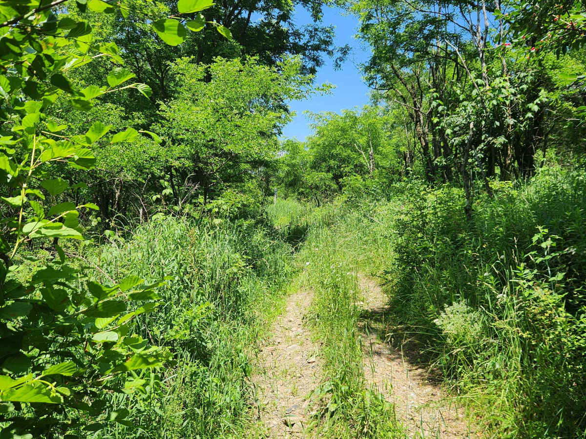 Trail 9A - Rock Run Recreation Area photo 2